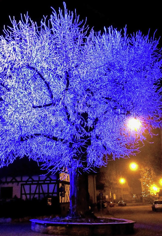 SEIN BLAUES WUNDER - einmal im positiv...terfeiernden gebhrend bestaunt wurde.  | Foto: Reiner Merz