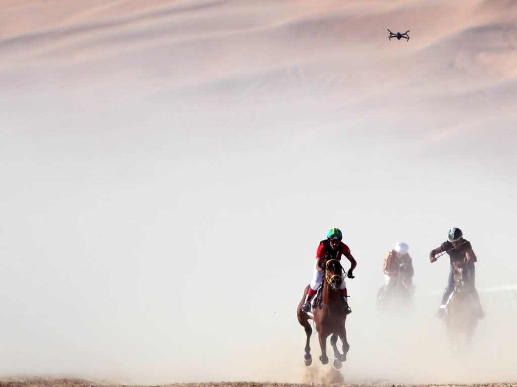 Auch Pferde und ihre Reiter treten zum Rennen an.