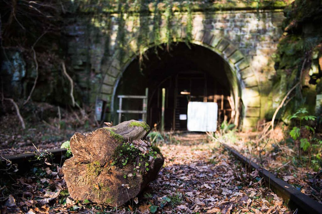Der Bahntunnel, ein Fledermausquartier  | Foto: dpa