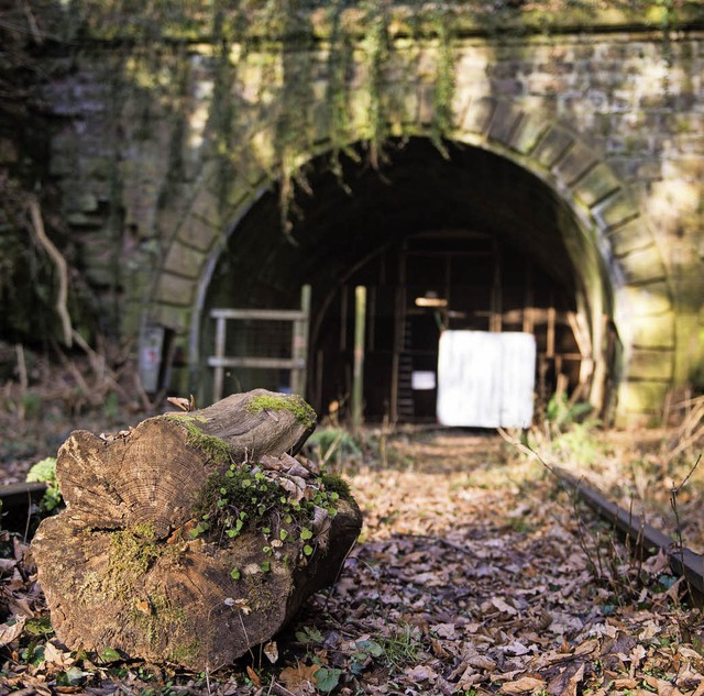 Der Bahntunnel, ein Fledermausquartier   | Foto: dpa