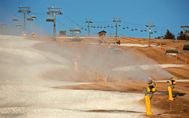 Trauriges Bild: Schneemangel am Feldberg zum Jahresende 2016.  | Foto: dpa