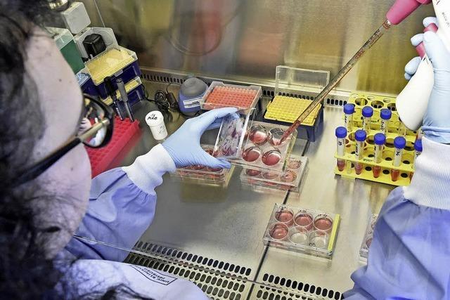Molekularbiologe Toni Cathomen will Aids durch Gentechnik heilen