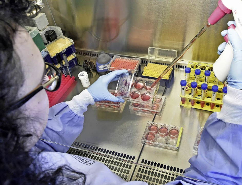 Eine Mitarbeiterin im Labor des  Insti...klinikum füllt Proben mit der Pipette.  | Foto: Michael Bamberger/Universitätsklinikum Freiburg