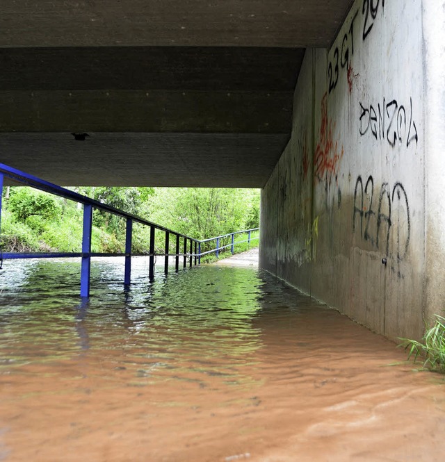 Hochwasser wie hier an der Wiese komme...len der Stadt zwingt das zum Handeln.   | Foto: Susanne Ehmann