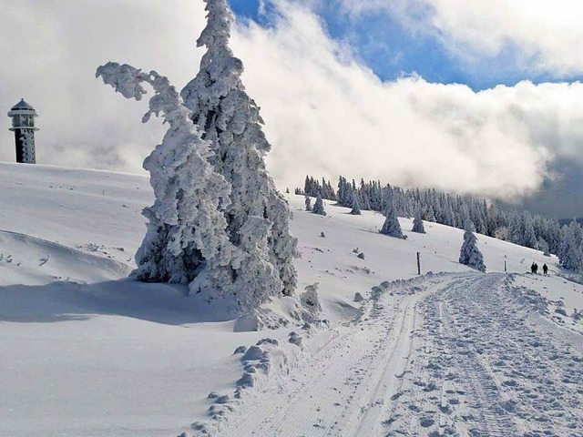 Am Feldberg wird am Wochenende mit noch mehr Schnee gerechnet. (Archivbild)  | Foto: Patrick Ohnemus