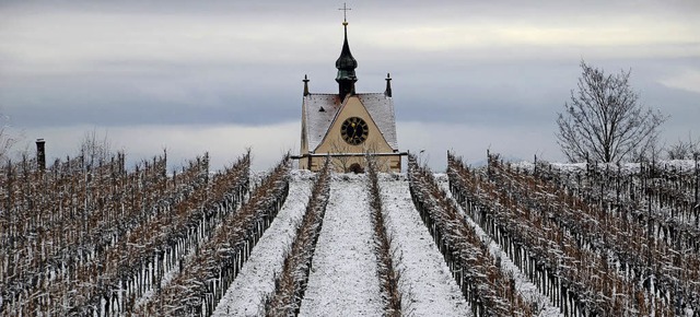 Endingen.  Verschneite Reblandschaft m... die Kirchturmspitze der Peterskirche.  | Foto: Roland Vitt