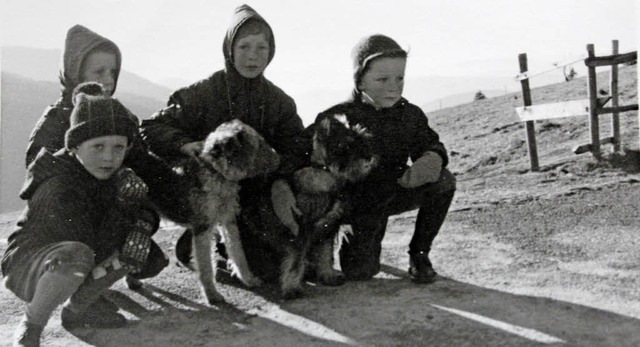 Gipfelwanderung ohne Schneeballschlach...mit ihren Shnen samt Hunden erinnert.  | Foto: Privat