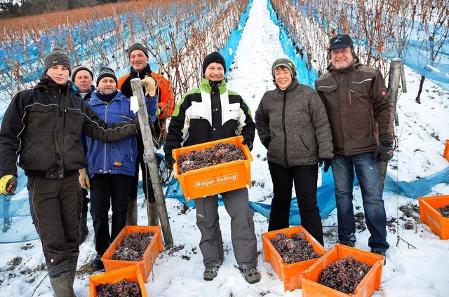 Weinlese bei klirrender Klte (v. l.):..., Melanie Brumniera, Hanspeter Rieflin  | Foto: Helmut Seller