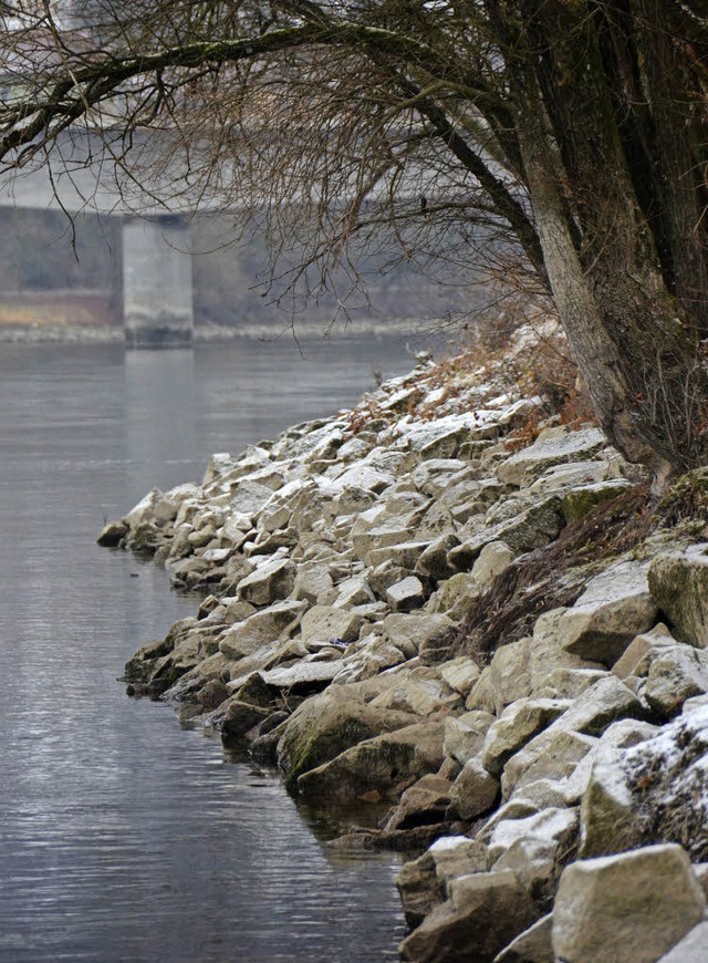 Mehr Steine als sonst sind am Rheinufer sichtbar.  | Foto: Konstantin Grlich