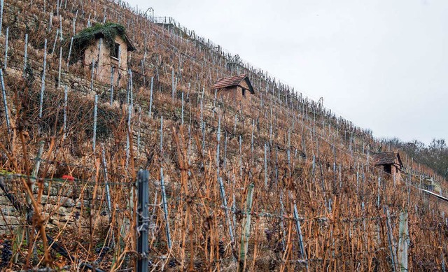Hohe Sttzmauern und schmale Rebflche...as kennzeichnet Steillagen im Weinbau.  | Foto: dpa