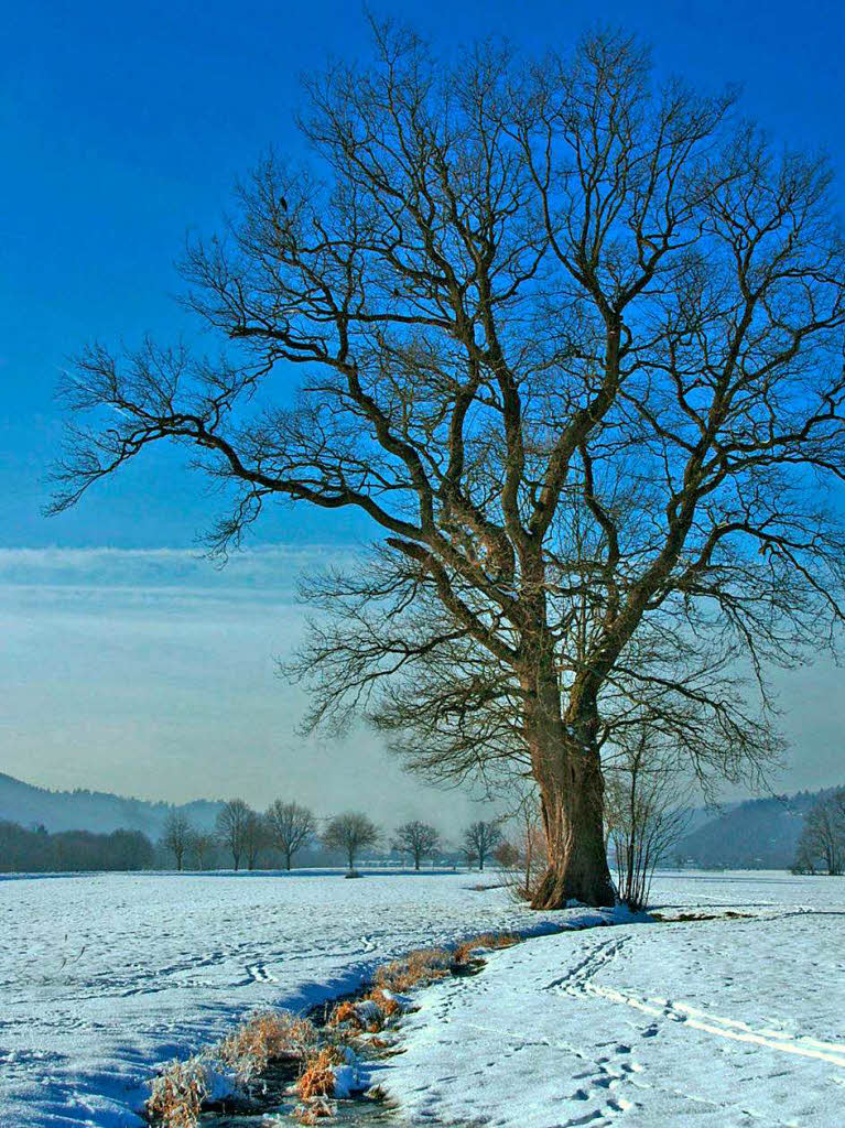 Winterimpressionen – festgehalten von BZ-Lersern im Dreisamtal und in den frhen Morgenstunden auf dem Schauinsland.
