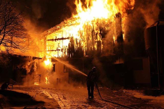 Fotos: Feuer in Stall in Klengen ttet viele Klber