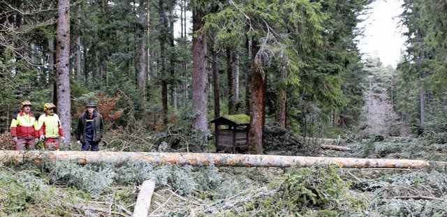 Der Holzeinschlag lag 2015 mit 21600 F...n Holzeinschlag im Brunlinger Wald.    | Foto: Dagobert Maier