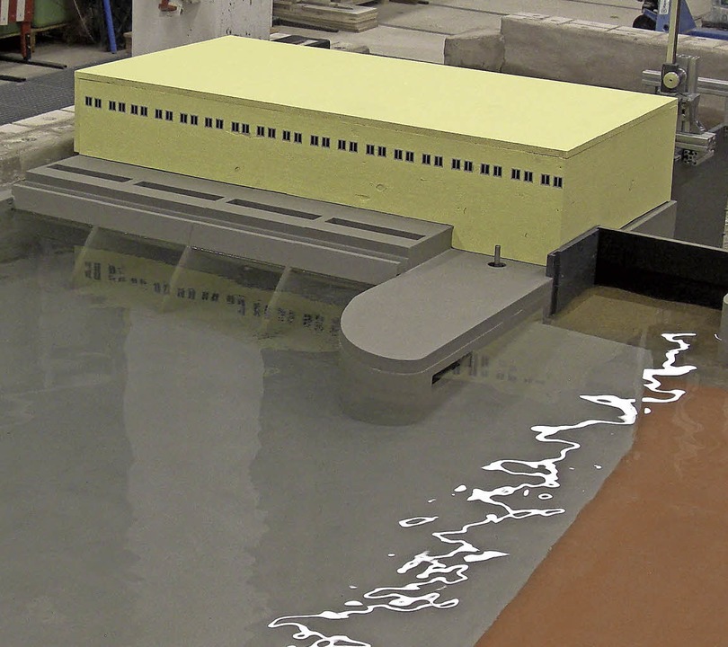 Modell für die Forschung Rheinfelden Badische Zeitung