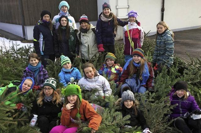 Mdchen-Scouts als eifrige Christbaumsammlerinnen