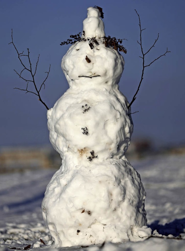 Ob der Schneemann auf den Gleisen so aussah, ist nicht belegt.   | Foto: dpa