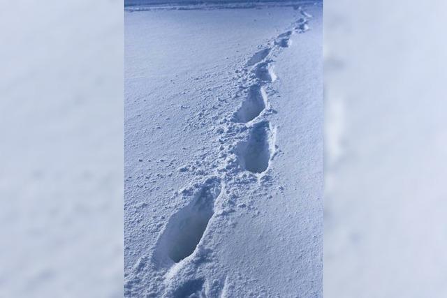 Spuren im Schnee fhren Polizei am Wochenende mehrmals zu Ttern