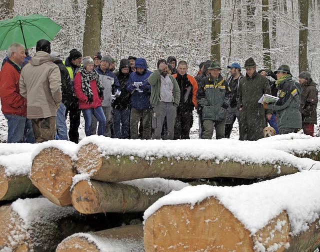 Rund 50 Bieter waren zur Holzversteigerung in den Hertinger Wald gekommen.  | Foto: Jutta Schtz