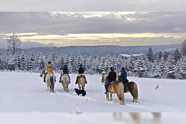 Der Winter im Schuttertal