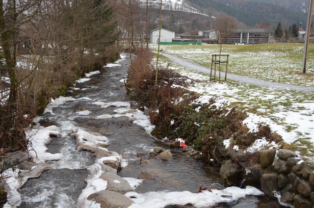 Symptom fr  aktuelle Probleme in der ...asserstand des Neumagens in Mnstertal  | Foto: Gabriele Hennicke