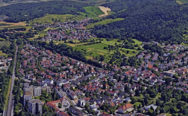 Das Luftbild zeigt in der Bildmitte da...linie Alt-Zhringen und oben Wildtal.   | Foto: Google-Luftbild/GeoDasis-DE/BKG