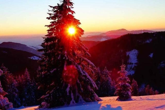 Fotos: So schn leuchtet der Feldberg im Winter