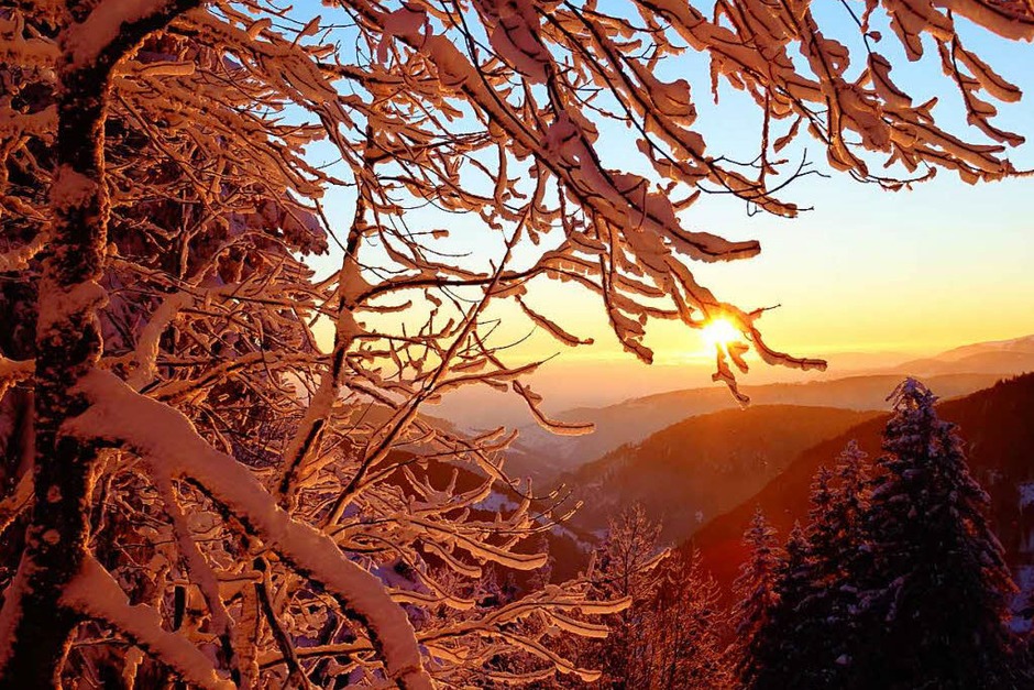 Winterzauber im Schwarzwald: der verschneite Feldberg. (Foto: Paul G. Wiesenberg) Winterzauber im Schwarzwald: der verschneite Feldberg. (Foto: Paul G. Wiesenberg)