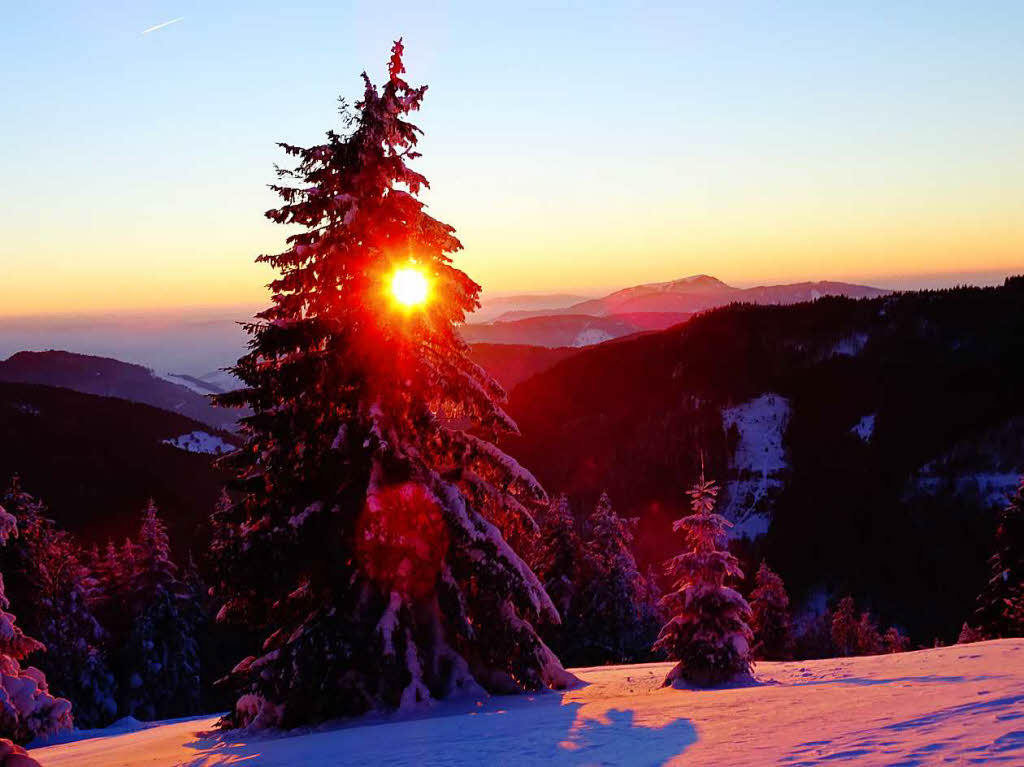 Winterzauber im Schwarzwald: der verschneite Feldberg.