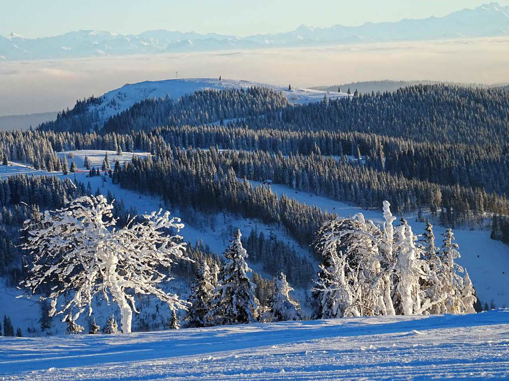 Winterzauber im Schwarzwald: der verschneite Feldberg.