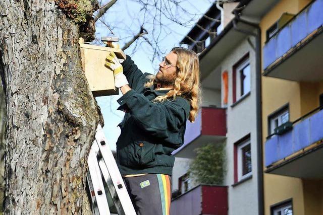 Willst Du am Samstag bei der Nistkastenpflege helfen?