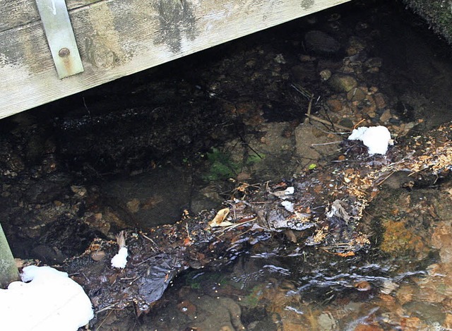 Das Wasser aus dem Mhlebach ist fr d...ie Stauvorrichtung nicht funktioniert.  | Foto: Sutter