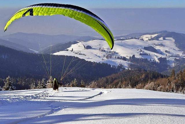 Warum das Wild unter Wintersportlern leidet