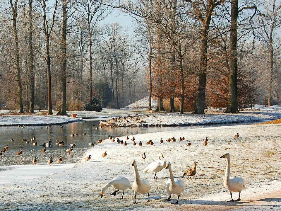 Soll zwangsversteigert werden: Der Queen-Auguste-Viktoria-Park im Umkirch  | Foto: Manfred Frietsch