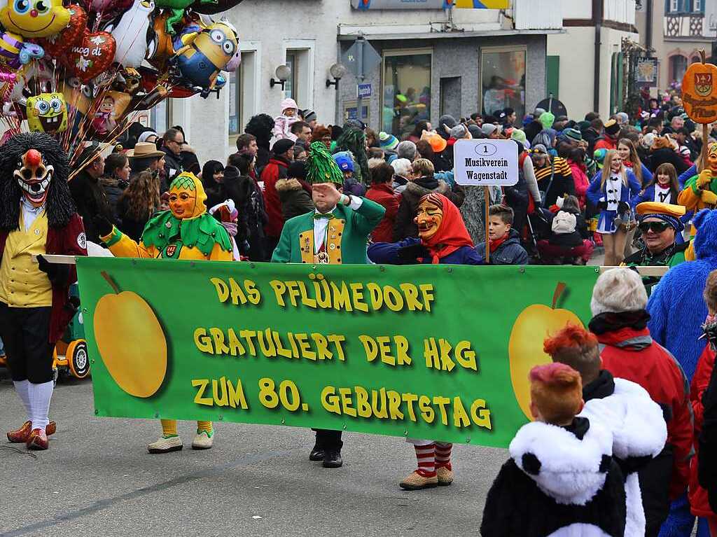 Impressionen vom Groen Narrentreffen in Herbolzheim