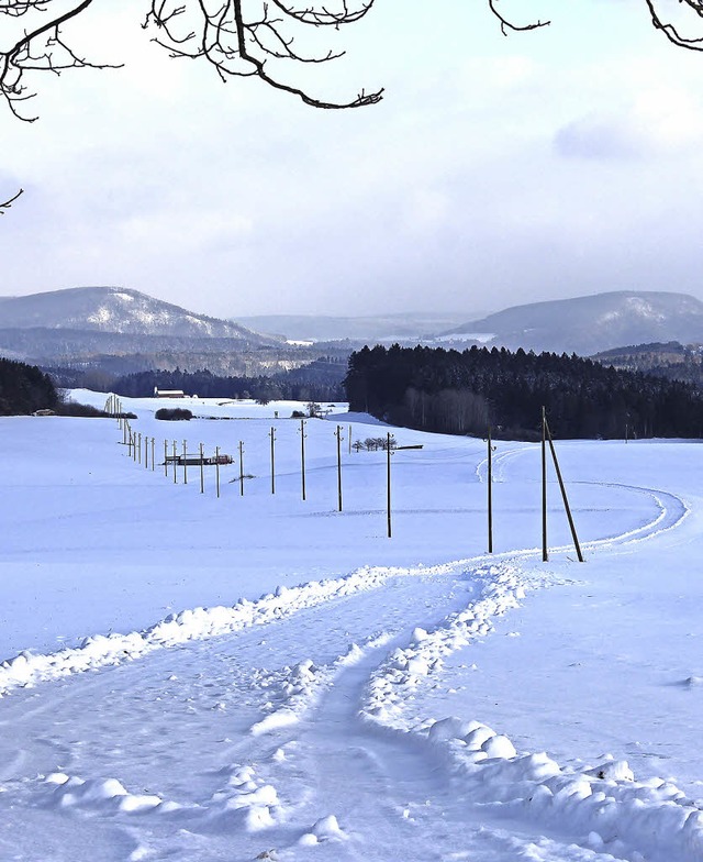 Natur pur: Ungestrtes Wintervergngen...d sind Eichberg und Buchberg zu sehen.  | Foto: Christa Maier