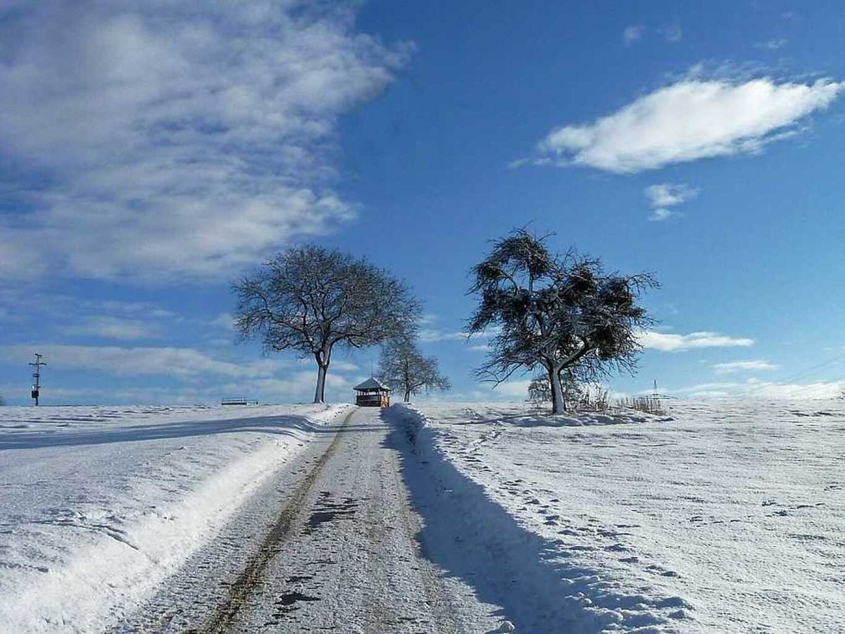 Beim morgendlichen Spaziergang fing Gerhard Schaum aus Schopfheim  unter anderem dieses Winterfoto auf.