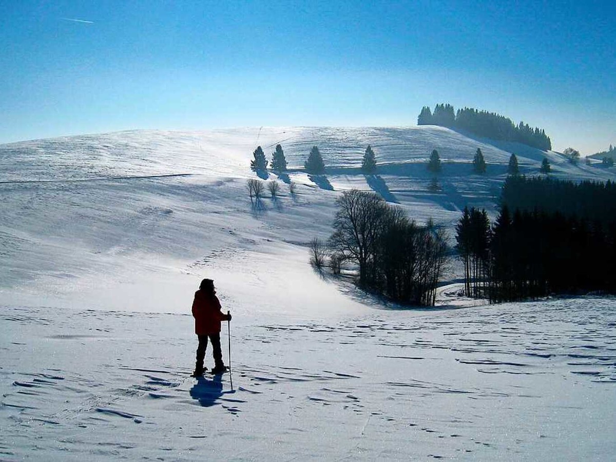 „Soo schn ist Schneeschuh-Wandern in Gersbach“, kommentierte Norbert Bauer aus Weil am Rhein sein Foto.