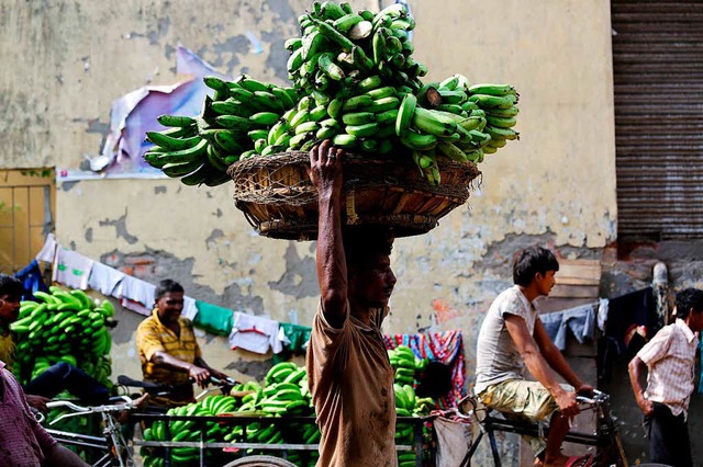 Bananen sind weltweit beliebt.  | Foto: Piyal Adhikary