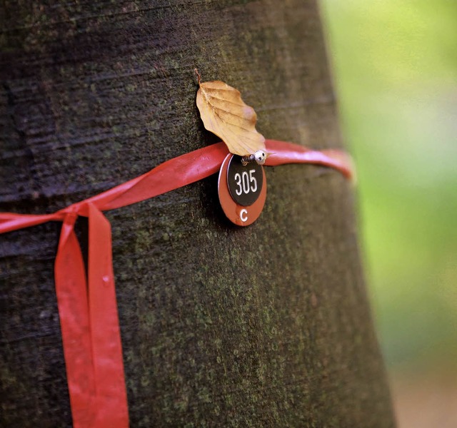 Ein Bestattungsbaum mit einer Plakette   | Foto: Bro Unique