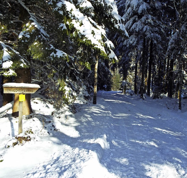 Im noch verschneiten Willaringer Beugg...otzenwald drohen  Schneebruchgefahren.  | Foto: Wolfgang Adam