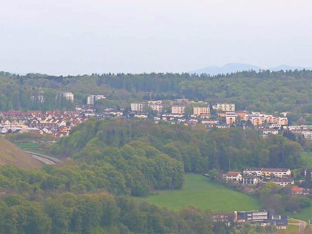 Trabentenstadt im Grnen: Der Salzert ...rage kommen. Doch es regt sich Kritik.  | Foto: Daniel Gramespacher