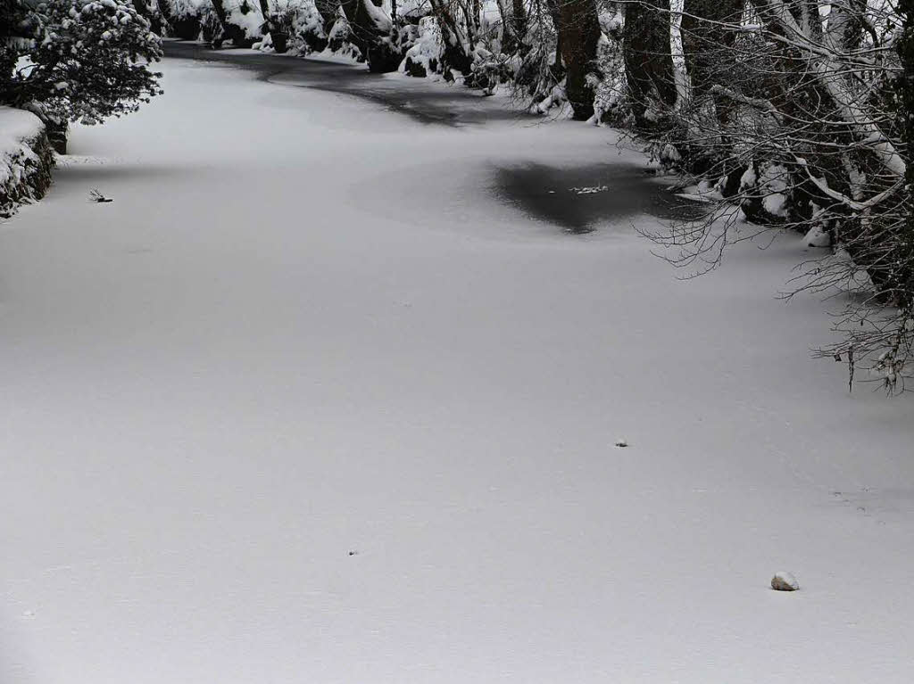 Winterimpressionen aus dem Elztal und Umgebung von verschiedenen Fotografen.