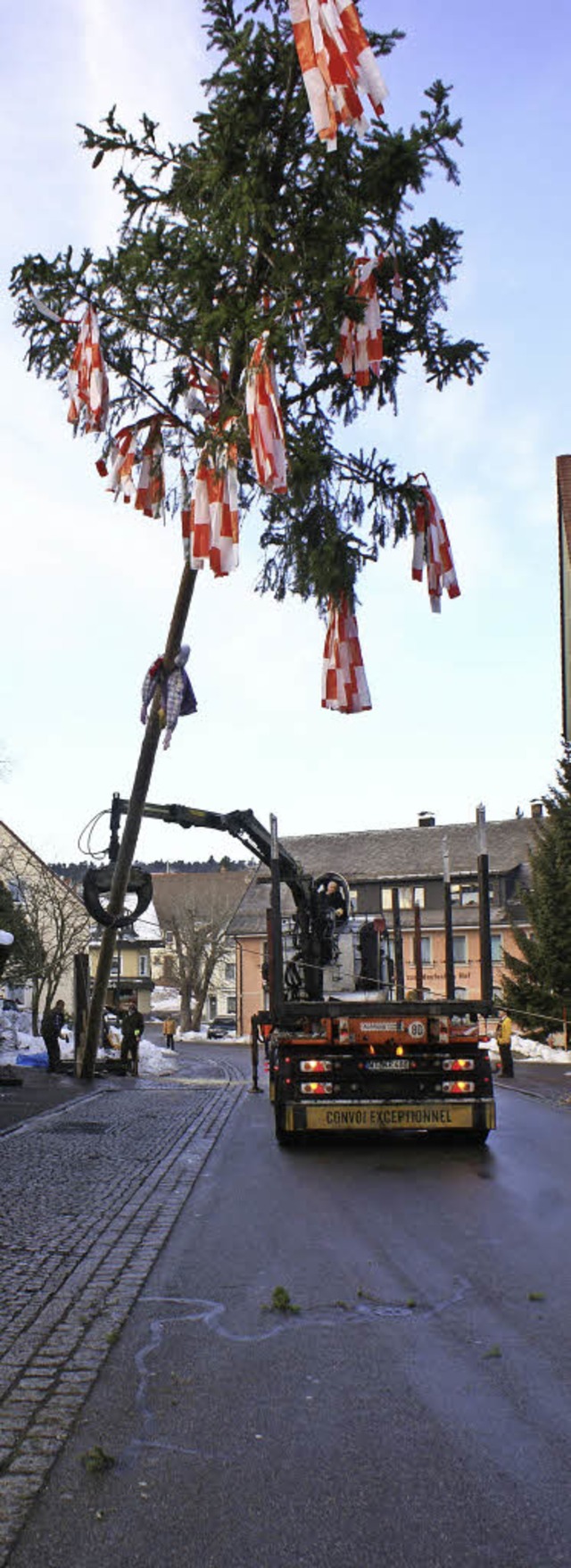 Der Narrenbaum wurde in Grwihl beim R... trug dabei allerdings der Kranwagen.   | Foto: Werner Probst