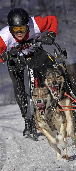 Die Sportler und vor allem die Hunde gaben alles beim Rennen.  | Foto: Wolfgang Scheu