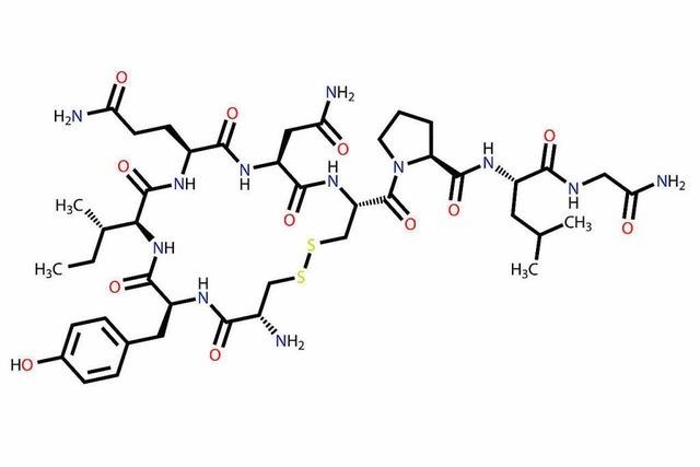 Ein ganzer ScienceJam nur ber Oxytocin