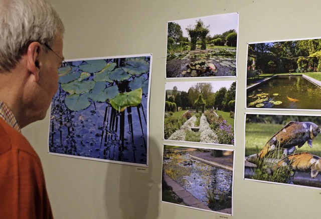 Naturmotive ganz nah ans Auge gerckt ...Fotografischen Gesellschaft Dreiland.   | Foto: FREY