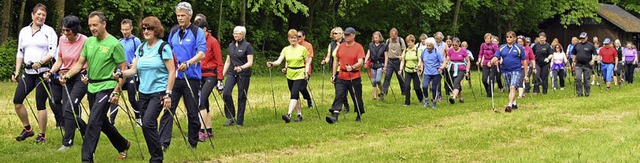 Kreuz und quer durchs Dreisamtal: Im M...z wieder zum Nordic Walking einladen.   | Foto: Lck