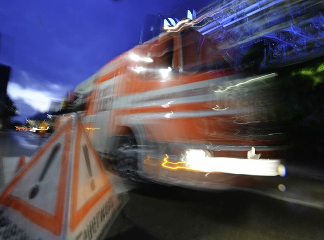 Die Arbeit der Feuerwehr wird mitunter..., andere stren sich am Martinshorn.    | Foto: dpa/W. Knstle