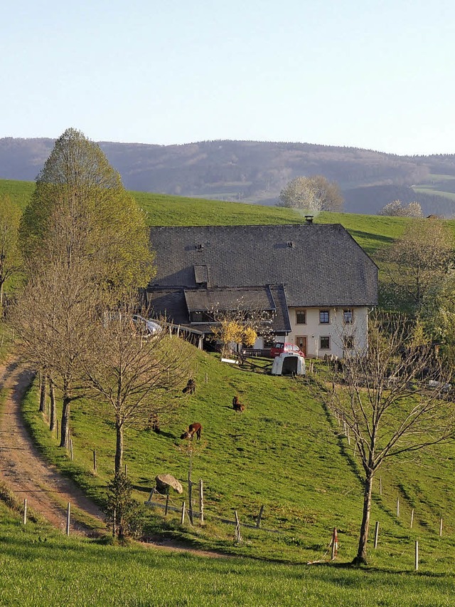 Wer auf einen Bauernhof ziehen will, sollte sich sich vorab gut informieren.   | Foto: archivfoto: rderer