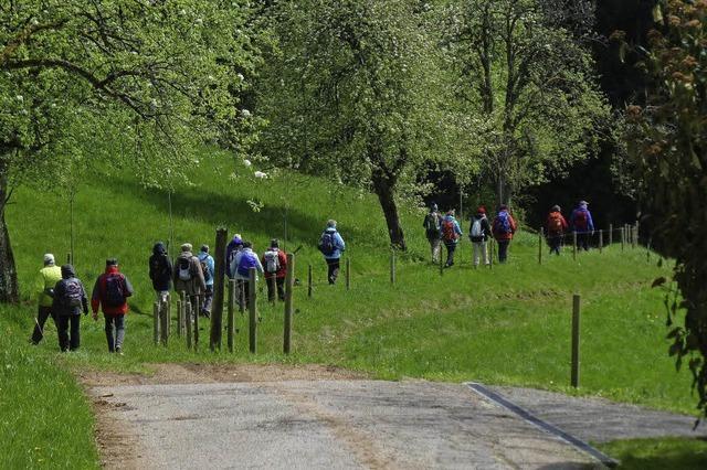 Naturfreunde stehen am Scheideweg